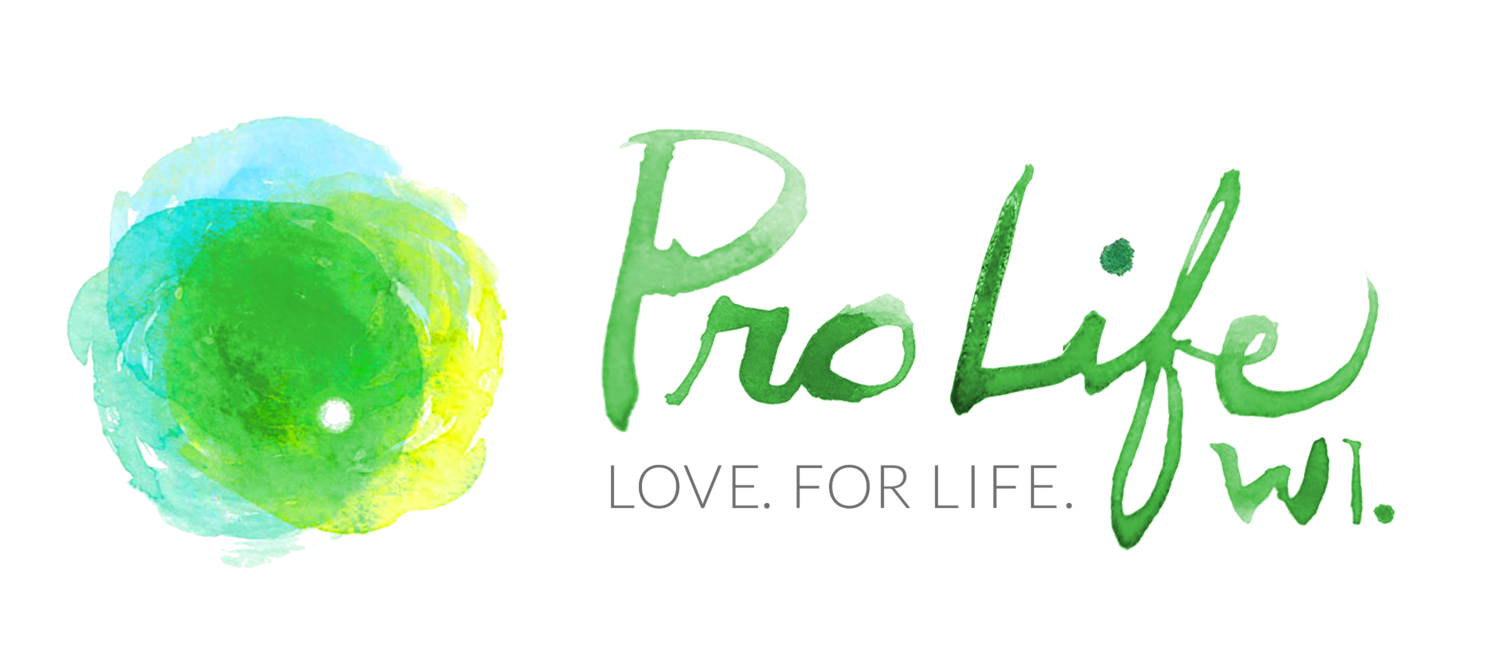 PLW-Logo_r3_trans PLW-Logo_r3_trans